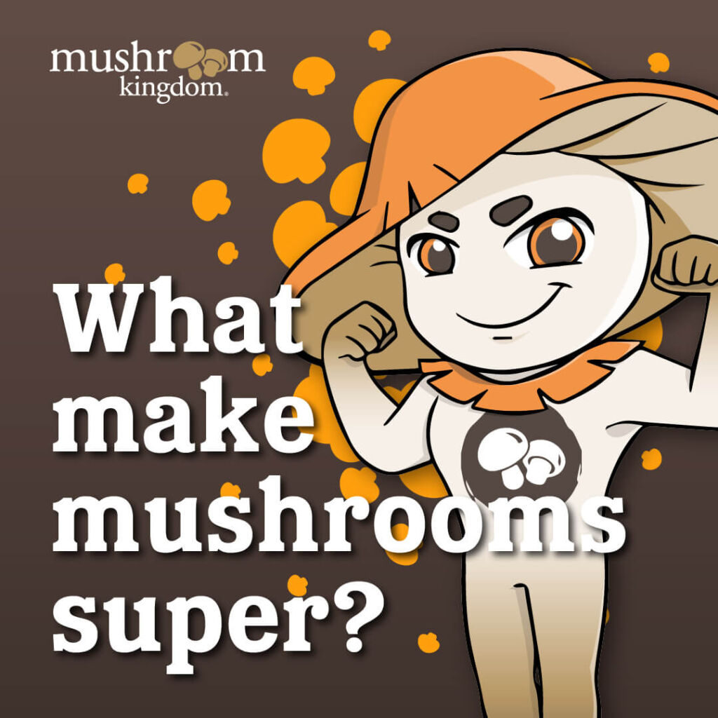 Mushroom-Kingdom-3